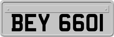 BEY6601