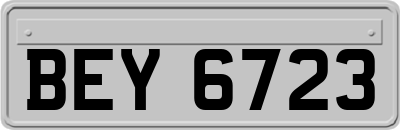 BEY6723