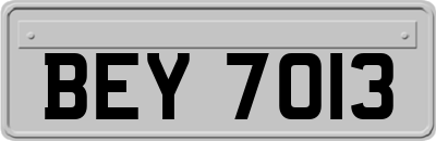 BEY7013