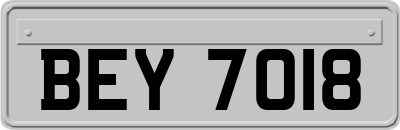 BEY7018