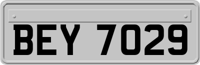 BEY7029