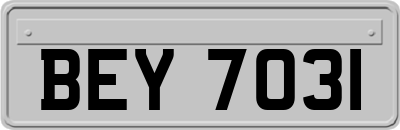 BEY7031