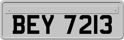 BEY7213