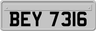 BEY7316