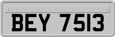 BEY7513