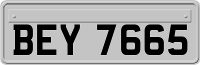 BEY7665