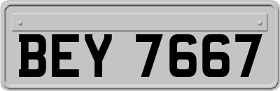 BEY7667