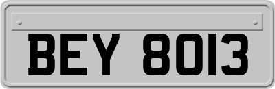 BEY8013