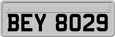 BEY8029