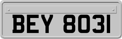 BEY8031