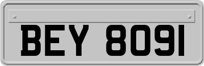 BEY8091