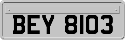 BEY8103