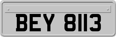 BEY8113