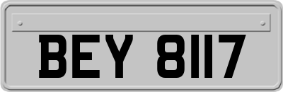 BEY8117