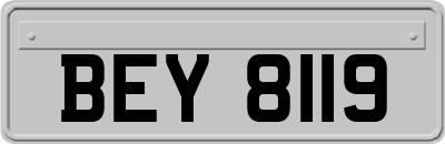 BEY8119