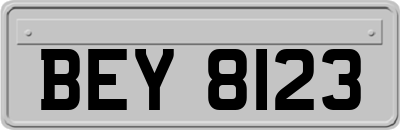 BEY8123