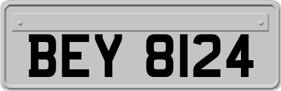 BEY8124