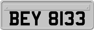 BEY8133