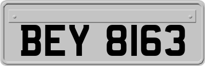 BEY8163