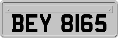 BEY8165