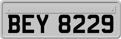 BEY8229