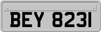 BEY8231