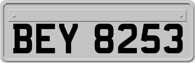 BEY8253