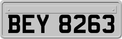 BEY8263