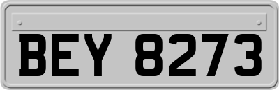 BEY8273