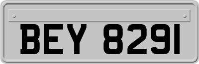 BEY8291