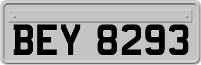 BEY8293