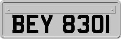 BEY8301