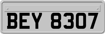 BEY8307