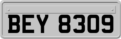 BEY8309