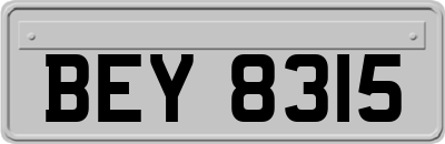 BEY8315