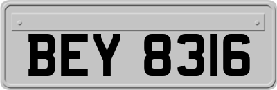 BEY8316