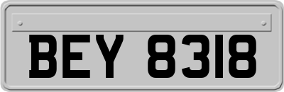 BEY8318