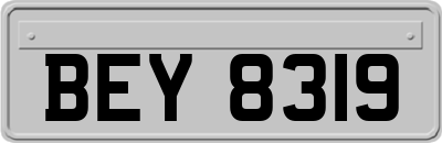 BEY8319