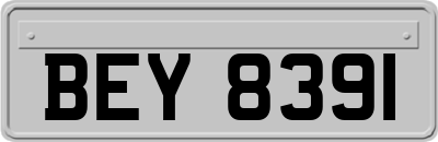 BEY8391