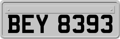 BEY8393