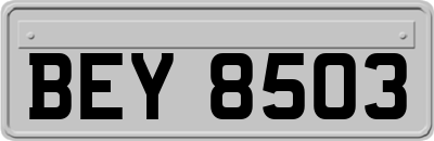 BEY8503