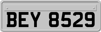 BEY8529