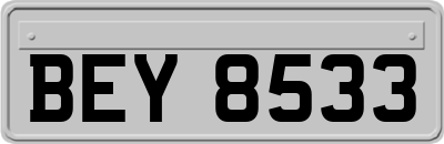 BEY8533