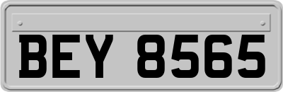 BEY8565