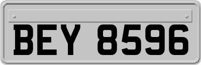 BEY8596