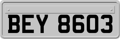 BEY8603