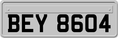 BEY8604