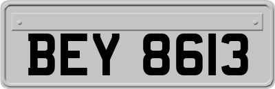 BEY8613