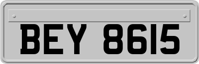 BEY8615