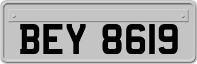 BEY8619